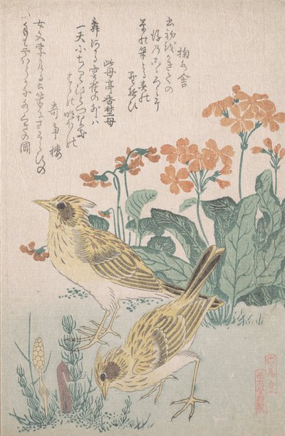 Alouettes et primevères, vers 1805-10 - Kubo Shunman