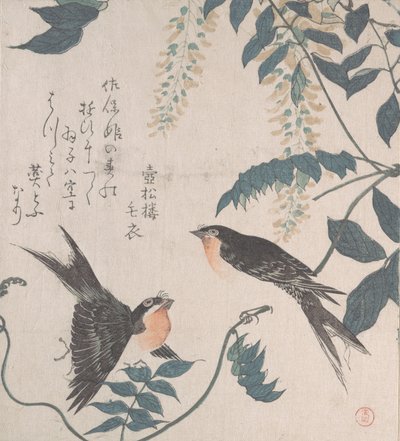Hirondelles et Glycine, XIXe siècle - Kubo Shunman