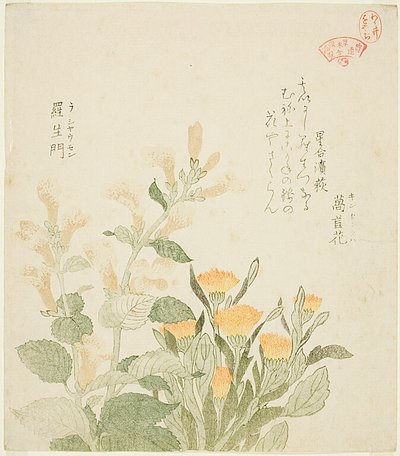 Le souci commun et les fleurs de Rajoman - Kubo Shunman