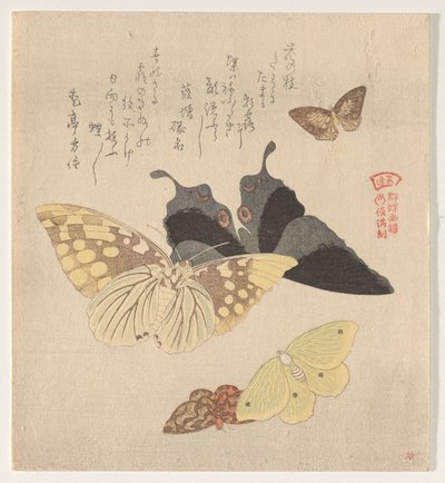Le Manuel de peinture du vol de papillons (Guncho? Gafu) - Kubo Shunman