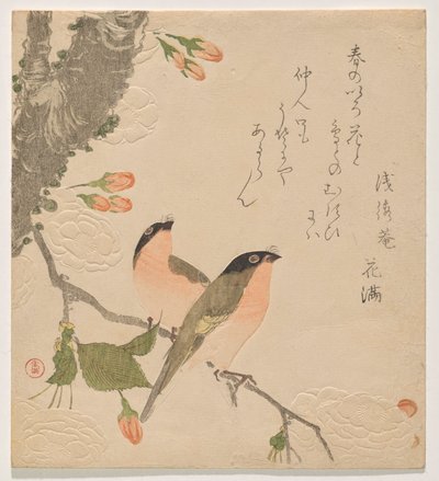 Deux bouvreuils sur un cerisier à double pétales (Uso ni Yae-zakura) - Kubo Shunman