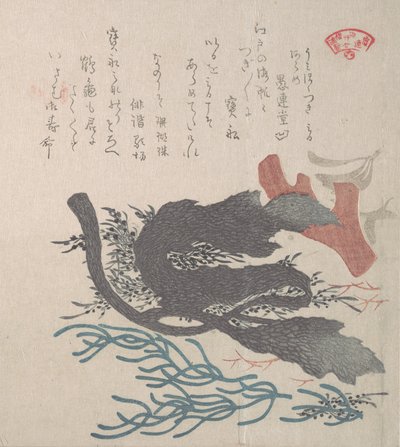 Diverses algues, 19ème siècle - Kubo Shunman