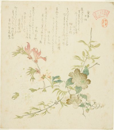 Diverses fleurs de printemps, de la série "Plantes et arbres printaniers pour le cercle de poésie Kasumi du groupe Yomo (Yomogawa Kasumi-ren haru no kusaki no uchi)" - Kubo Shunman