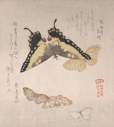 Divers papillons de nuit et papillons, 19ème siècle - Kubo Shunman