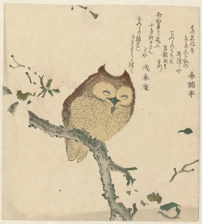 Hibou sur une branche de magnolia - Kubota Shunman