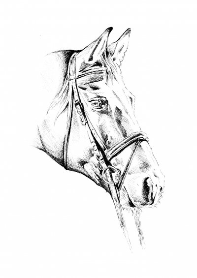  - Kulik