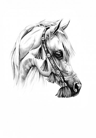  - Kulik
