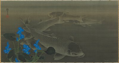 Carpe, période Edo, début XIXe siècle - Kuroda Toko