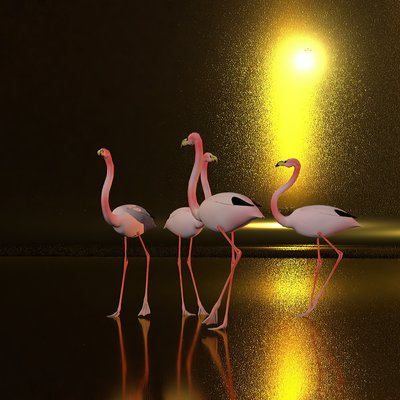 Debout sur la plaine la nuit - Kurt Heppke