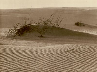 Wanderdune sur la flèche de sable de Courlande au nord de Rossitten - Kurt Hielscher