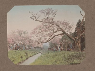 Mensen en kersenbloesem aan weerszijden van een beek in Koganei, Tokyo, Japan - Kusakabe Kimbei