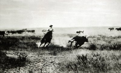 Cow-boy à cheval attrapant un veau - L.A. Huffman