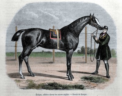 Le cheval de course anglais Eclipse. Illustration par Rouyer - L. (after) Rouyer