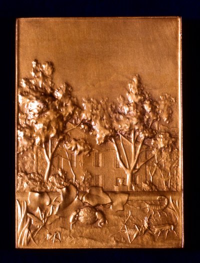 Insectes, 1911 - L. Patriarche