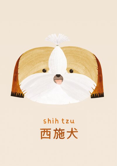 Shih tzu, 2019 - Léa Le Pivert