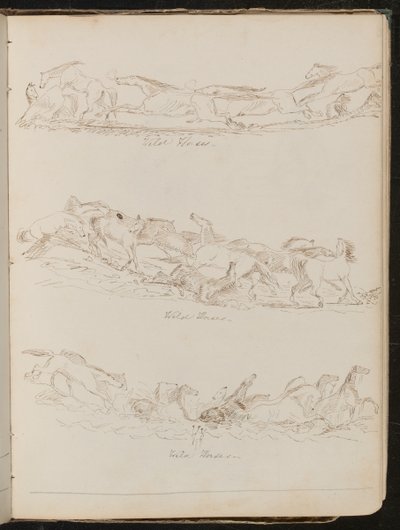 Trois études de chevaux galopant librement - Lady Butler