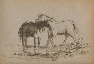 Chevaux - Lady Diana Spencer