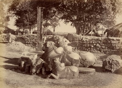 Bulles sacrées dans le fort de Warungal - Lala Deen Dayal