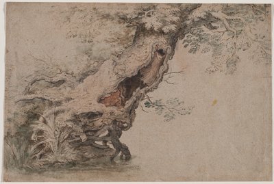 Arbre Creux, d