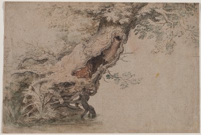 Arbre creux, d