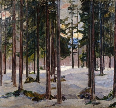 Arbres dans la lumière d
