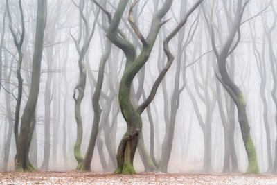  - Lars van de Goor †