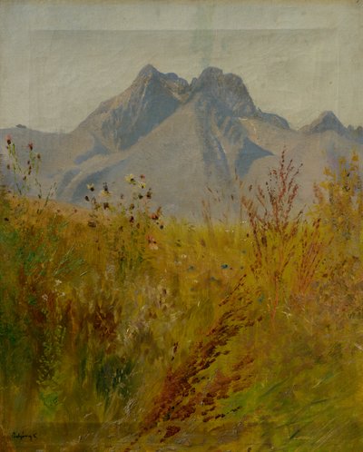 Pic Lomnický - Laszlo Mednyanszky