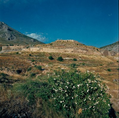 Vue du site de l