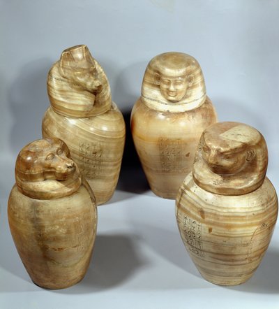 Vases canopes d