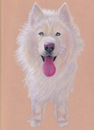 Snowky, 2021 (crayon de couleur sur papier teinté) - Laurie Michaels