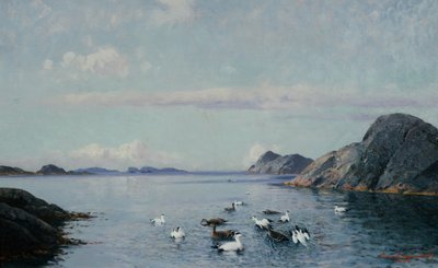 Côte sud avec oiseaux de mer - Lauritz Haaland
