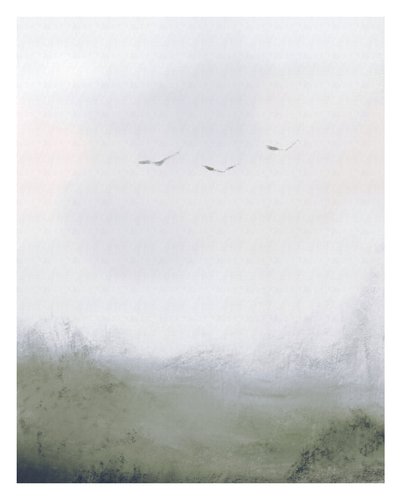 Oiseaux volant au-dessus d