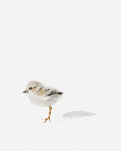 Oiseau de rivage, vers 2021 - Leah Straatsma