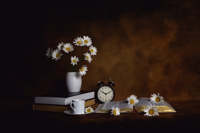 Daisies Books – Paix matinale - Leah Xu
