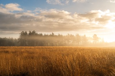 Fallen Light, 2023 (photo) - Lee Cooper