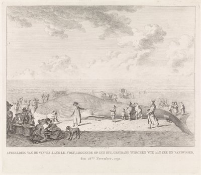Baleine échouée sur la plage de Zandvoort (Afbeelding van de Vin-Vis gestrand tusschen Wyk aan Zee en Zandvoord, den 18den november, 1791) - Leendert Overbeek