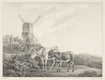 Deux ânes dans un paysage près d