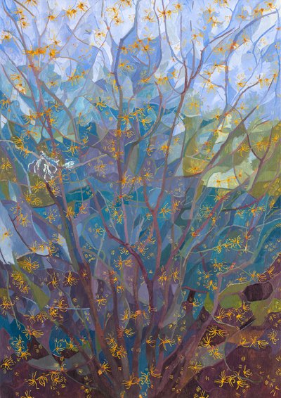 Noisetier en fleur, 2015 - Leigh Glover