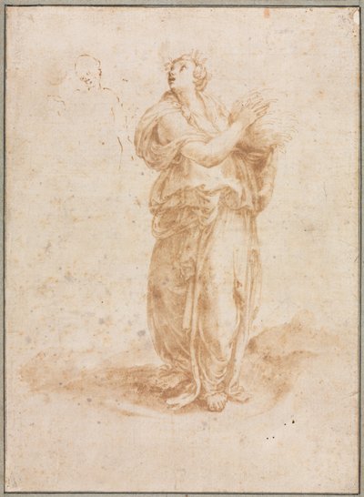 Cérès - Lelio Orsi