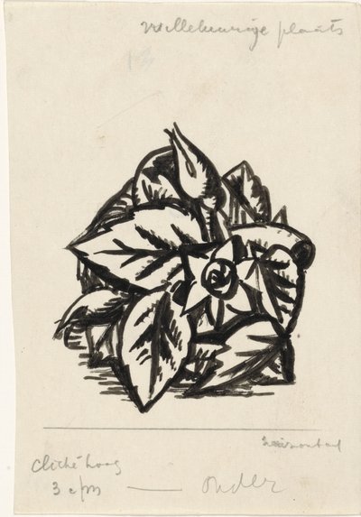 Fleurs - Leo Gestel
