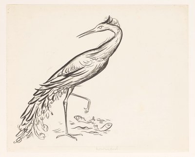 Héron au bord de l