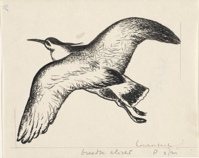 Oiseau volant - Leo Gestel