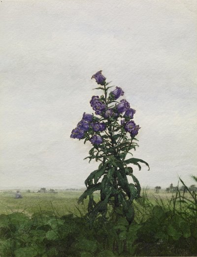 Campanule devant un paysage - Léon Bonvin