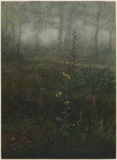 Molène grise dans le sous-bois - Léon Bonvin