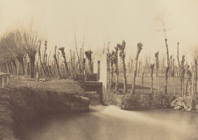 Paysage, Montebello, v. 1860 (photo) - Léon Gérard