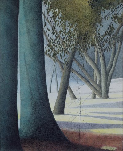 Troncs de hêtres - Leon Spilliaert