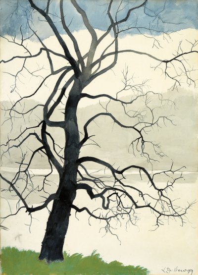 Arbre solitaire au bord de l