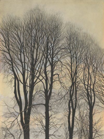 Arbre dans le ciel - Leon Spilliaert