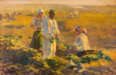 Arrachage de betteraves - Leon Wyczolkowski