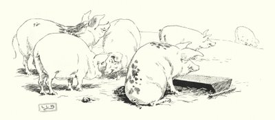 Un cochon à longue queue ou un cochon à courte queue (gravure) - Leonard Leslie Brooke